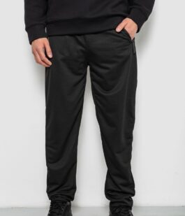 Спортивные штаны мужские однотонные, цвет черный, 244R41740