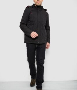 Куртка мужская демисезонная с капюшоном, цвет черный, 244RL9159AL