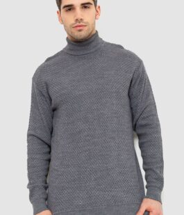 Гольф мужской, цвет темно-серый, 161R845