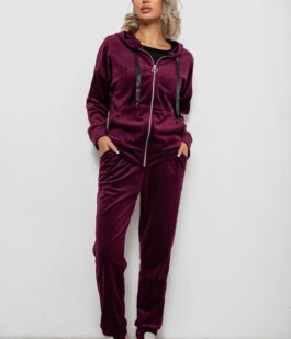 Спортивный костюм женский велюровый, цвет сливовый, 257R4119