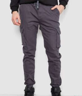 Штаны мужские карго, цвет темно-серый, 243R8075