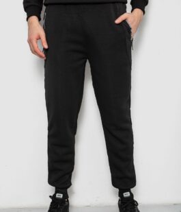 Спортивные штаны мужские на флисе, цвет черный, 244R6120