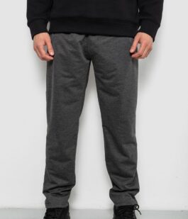 Спортивные штаны мужские однотонные, цвет серый, 244R41668