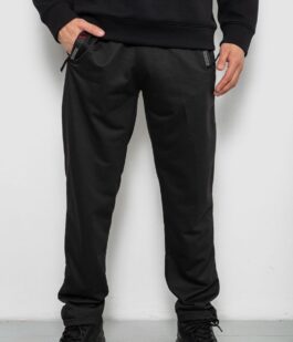 Спортивные штаны мужские однотонные, цвет черный, 244R41668