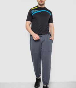 Спортивные мужские штаны демисезонные, цвет серый, 241R001-1