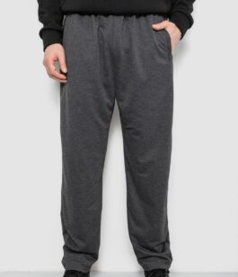 Спортивные штаны мужские, цвет серый, 244R41399