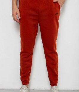Спортивные штаны мужские на флисе, цвет терракотовый, 238R57256-1