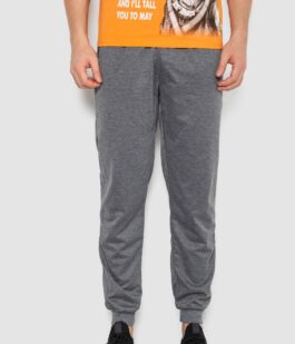 Спортивные штаны мужские, цвет серый, 244R41236