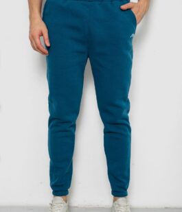 Спортивные штаны мужские на флисе, цвет изумрудный, 238R57256