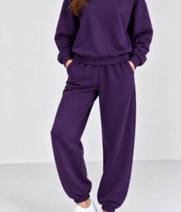 Спортивный костюм женский однотонный, цвет фиолетовый, 244R1008-11