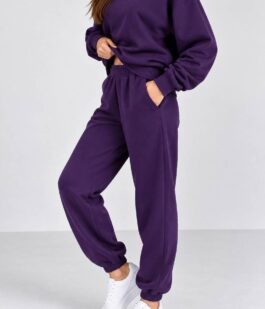 Спортивный костюм женский однотонный, цвет фиолетовый, 244R1008-11
